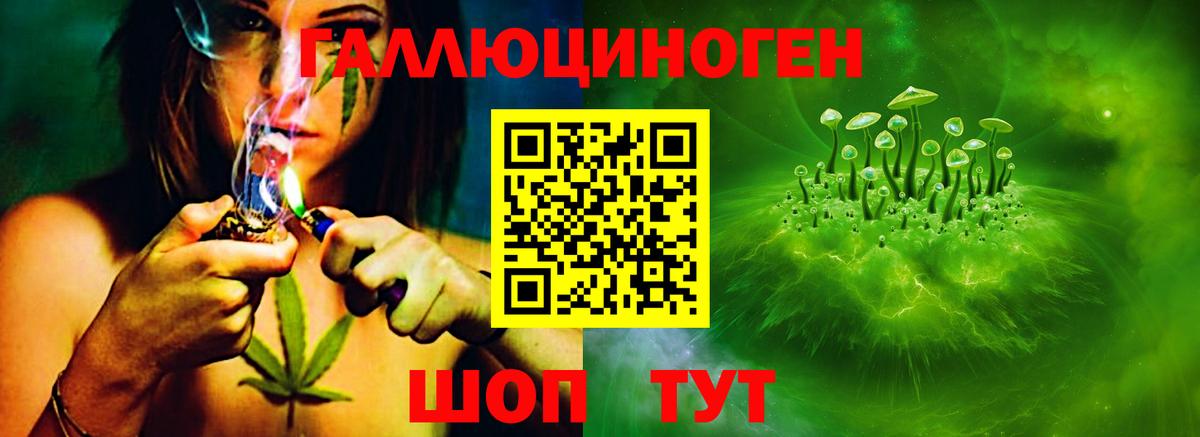 Луга  Псилоцибиновые грибы Psilocybine cubensis  Вход с VPN 